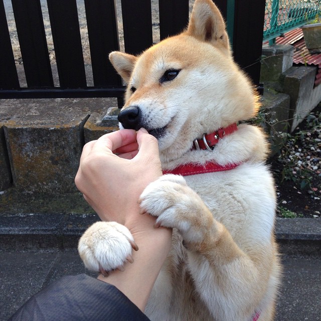 “三叉湖赛场：水上救生挑战让观众感受真正的救援速度”