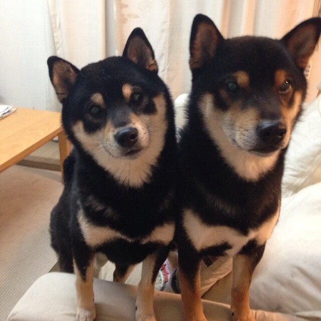 “三叉湖赛场：水上救生挑战让观众感受真正的救援速度”